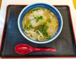 [白河そば]大根おろしうどん(520円)[牛込柳町]